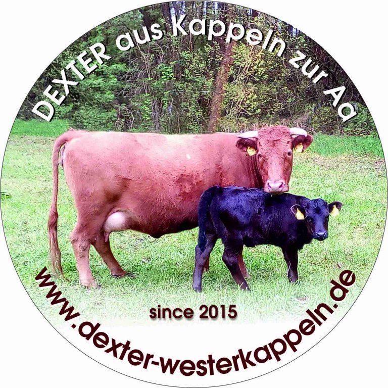 Logo Dexter Westerkappeln